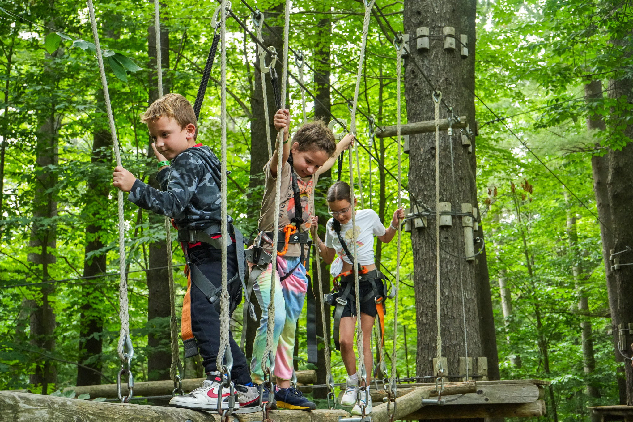 Aerial Treetop Explorer