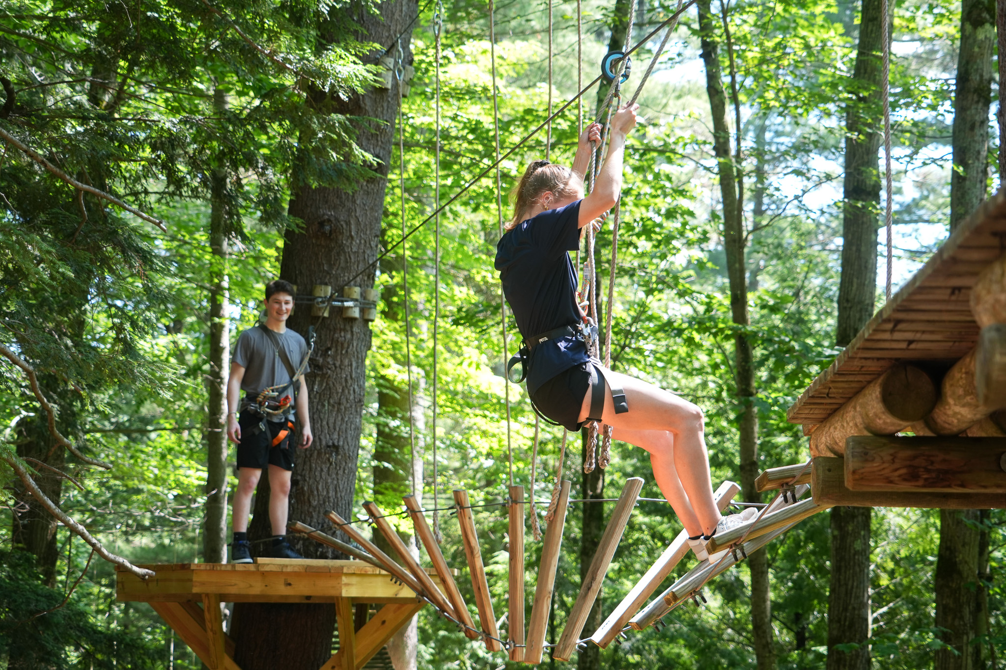Aerial Treetop